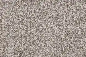 Ковролин Bonkeel Parliament Greige фото  | FLOORDEALER